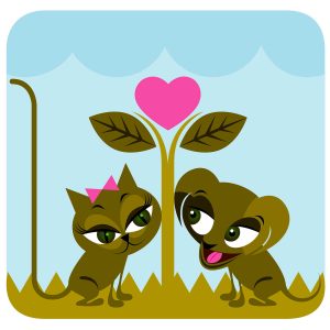 Pets - Animals