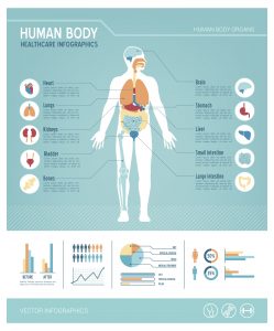 immunity body